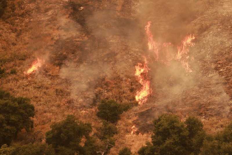 Fernando Toledo menyeka wajahnya dengan handuk dingin saat cuaca sangat panas di Calexico, California, AS, 7 Juli 2024. (REUTERS/Zoe Meyers)