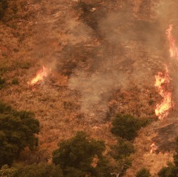 'Neraka Bocor' Hantam AS, Suhu Panas Mendidih hingga Kebakaran Hutan