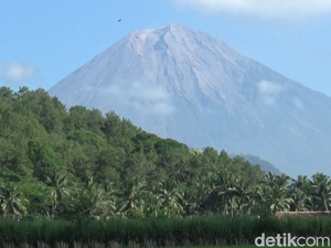 Turun Status! Gunung Semeru Kini Level II Waspada