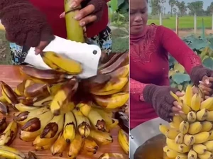 Bikin Heran! Wanita Ini Goreng Pisang Sekaligus Kulitnya