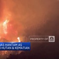 Video: Gelombang Panas Hantam AS, Picu Kebakaran & Kematian!
