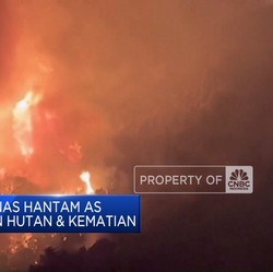 Video: Gelombang Panas Hantam AS, Picu Kebakaran & Kematian!