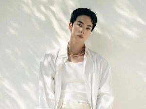 Jin BTS Rilis Super Tuna, Lagu Lucu dengan MV Bercanda