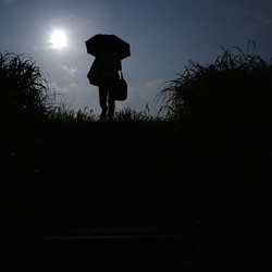 Potret 'Neraka Bocor' di Jepang, Pemerintah Tetapkan Status Bahaya