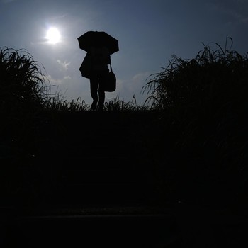Potret 'Neraka Bocor' di Jepang, Pemerintah Tetapkan Status Bahaya