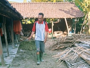Ada Kasus Flu Burung di Delanggu, DKPP Klaten Gercep Lakukan Disinfektasi