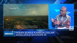 Akselerasi Ekonomi Lewat Bursa Karbon, IBC Beri Rekomendasi Ini!