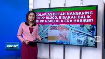 Dolar AS Betah di Rp 16.200, Bisakah Balik ke Rp6.500 Ala Era Habibie?