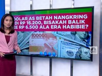 Dolar AS Betah di Rp 16.200, Bisakah Balik ke Rp6.500 Ala Era Habibie?