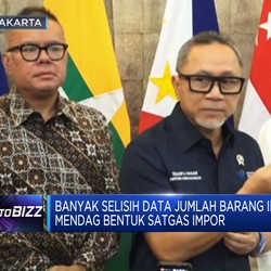 Video: Mendag Bentuk Satgas Impor, Antisipasi Selisih Jumlah Barang