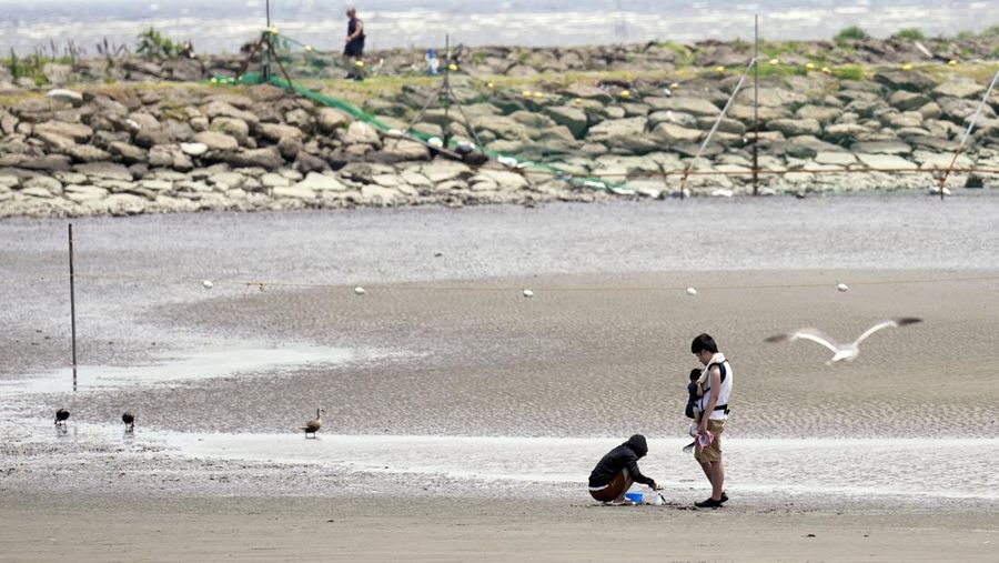 Pengjung saat cuaca panas Taman Kasai Rinkai, Tokyo, Jepang, Selasa (9/7/2024). (AP Photo/Eugene Hoshiko)