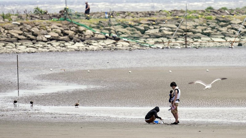 Pengjung saat cuaca panas Taman Kasai Rinkai, Tokyo, Jepang, Selasa (9/7/2024). (AP Photo/Eugene Hoshiko)
