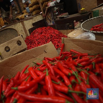 Pedagang Ungkap Stok Cabai Merah Kritis di Pasar
