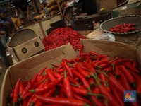 Pedagang Ungkap Stok Cabai Merah Kritis di Pasar
