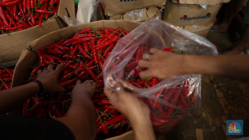 Penjualan cabai rawit merah besar di Pasar Kramat Jati, Jakarta, Selasa (9/7/2024). (CNBC Indonesia/Tri Susilo) Penjualan cabai rawit merah besar di Pasar Kramat Jati, Jakarta, Selasa (9/7/2024). (CNBC Indonesia/Tri Susilo)