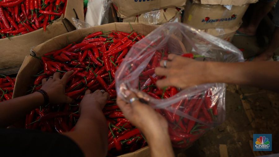 Penjualan cabai rawit merah besar di Pasar Kramat Jati, Jakarta, Selasa (9/7/2024). (CNBC Indonesia/Tri Susilo)