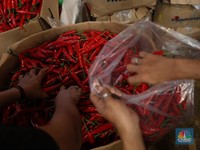 10 Cara Hilangkan Panas di Tangan Akibat Cabai