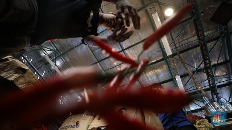 Penjualan cabai rawit merah besar di Pasar Kramat Jati, Jakarta, Selasa (9/7/2024). (CNBC Indonesia/Tri Susilo) Penjualan cabai rawit merah besar di Pasar Kramat Jati, Jakarta, Selasa (9/7/2024). (CNBC Indonesia/Tri Susilo)