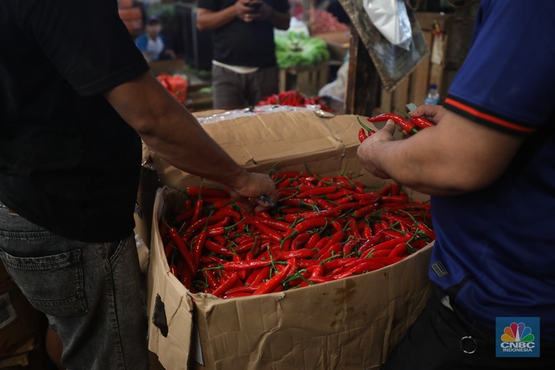 Penjualan cabai rawit merah besar di Pasar Kramat Jati, Jakarta, Selasa (9/7/2024). (CNBC Indonesia/Tri Susilo) Penjualan cabai rawit merah besar di Pasar Kramat Jati, Jakarta, Selasa (9/7/2024). (CNBC Indonesia/Tri Susilo)