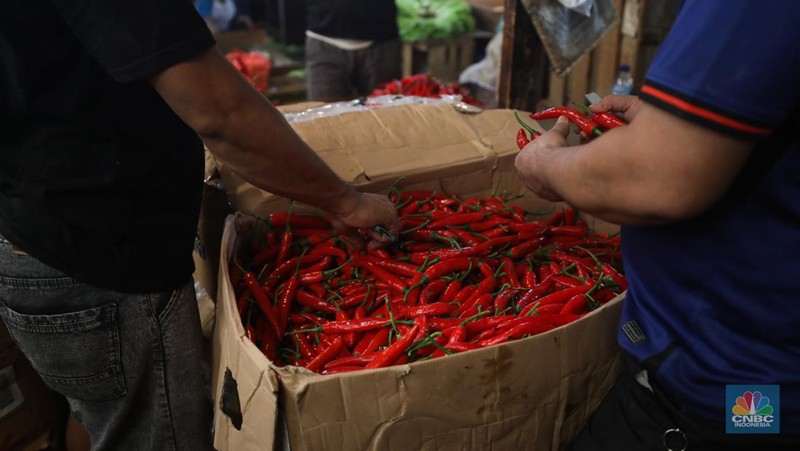 Penjualan cabai rawit merah besar di Pasar Kramat Jati, Jakarta, Selasa (9/7/2024). (CNBC Indonesia/Tri Susilo)