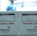 Minta PMN Rp 2,2 T, Biofarma Mau Produksi 1 Miliar Dosis Vaksin