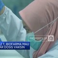 Video: Minta PMN Rp 2,2 T, Biofarma Mau Produksi 1 Miliar Dosis Vaksin