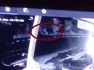 Pria Pemilik Koper Misterius Dikira Bom di Puri Penarungan Terekam CCTV