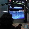 Naik 1.337% dan 262%, Bursa Gembok Saham DSSA dan FORU