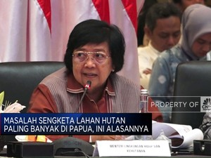 Menteri KLHK Ungkap Alasan Sengketa Lahan Hutan Paling Banyak di Papua