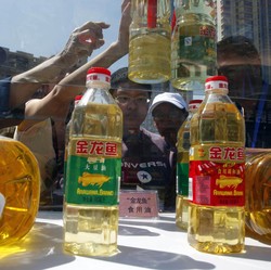 Geger Skandal Minyak Goreng China, Susu Melamin sampai Bir Kencing