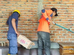 Rumah di Lubuklinggau Kemasukan Kobra, Warga Kaget Ular Berdiri-Berdesis