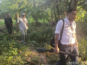 7 Fakta Pilu Balita Diserang Monyet Liar hingga Leher Luka Parah 40 Jahitan