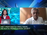 Percepat Program Biodiesel B40 Prabowo, RI Butuh Kebun Sawit Khusus