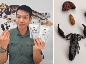 Pria Singapura Ini sudah 9 Tahun Ngemil Kecoak dan Kalajengking