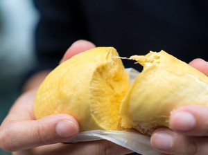 Meski Mengandung Alkohol Durian Halal Dikonsumsi Muslim, Ini Sebabnya