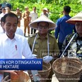 Video: Jokowi Minta Panen Kopi Ditingkatkan