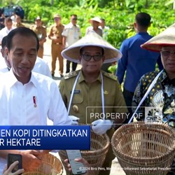 Video: Jokowi Minta Panen Kopi Ditingkatkan
