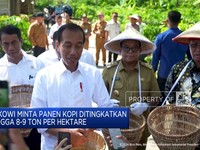 Video: Jokowi Minta Panen Kopi Ditingkatkan