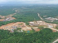 Tok! Bos IKN Resmi Tetapkan Harga Tanah, Segini Kisarannya