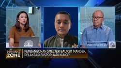 Pembangunan Smelter Bauksit Mandek, Relaksasi Ekspor Jadi Kunci?