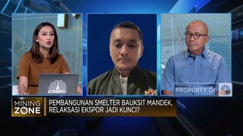 Pembangunan Smelter Bauksit Mandek, Relaksasi Ekspor Jadi Kunci?
