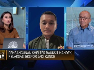 Pembangunan Smelter Bauksit Mandek, Relaksasi Ekspor Jadi Kunci?
