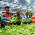 Pertamina Grup Manfaatkan EBT untuk Komunitas Hidroponik Sehati