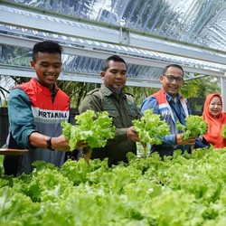 Pertamina Grup Manfaatkan EBT untuk Komunitas Hidroponik Sehati