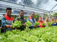 Pertamina Grup Manfaatkan EBT untuk Komunitas Hidroponik Sehati