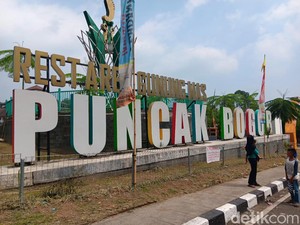 Pengakuan Pedagang Puncak: Banyak Pembeli Trauma Kena Getok Harga
