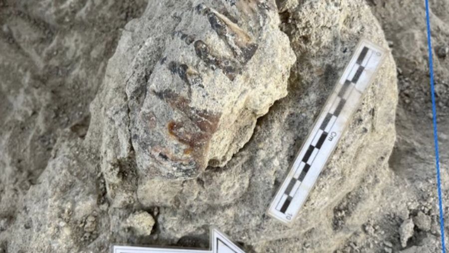 Situs Kobatuwa dan Malahuma Menjadi Fokus Ekskavasi Tahun 2024. (Dok. geologi.esdm.go.id)