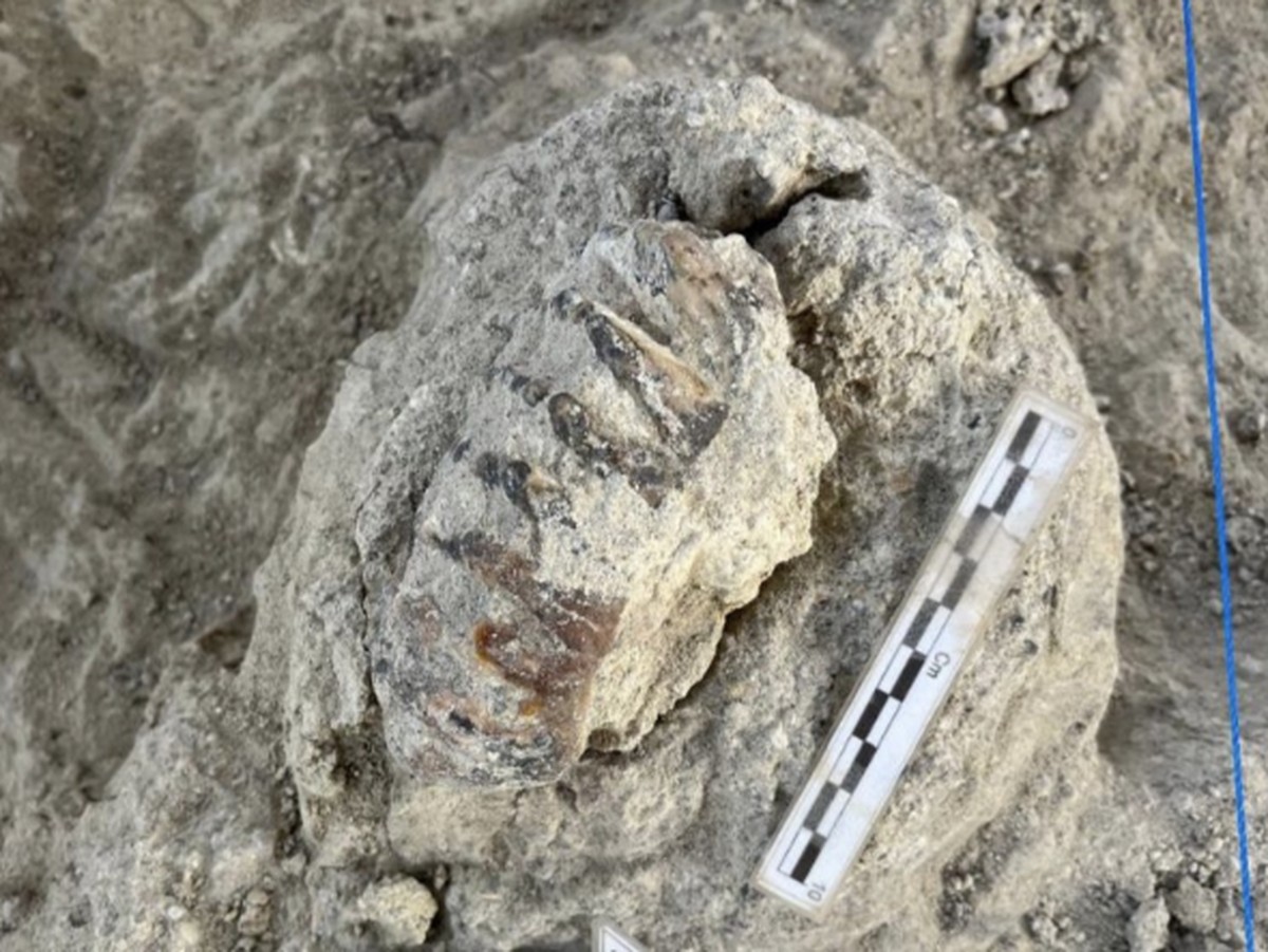 Penemuan Mikroorganisme Purba Hidup di Batuan Usia 2 Miliar Tahun