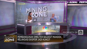 Smelter Bauksit Mandek, Pengusaha Minta 
