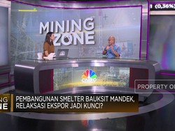 Smelter Bauksit Mandek, Pengusaha Minta "Senjata" Ini
